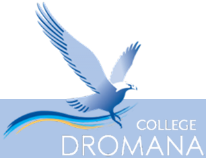 Dromana College