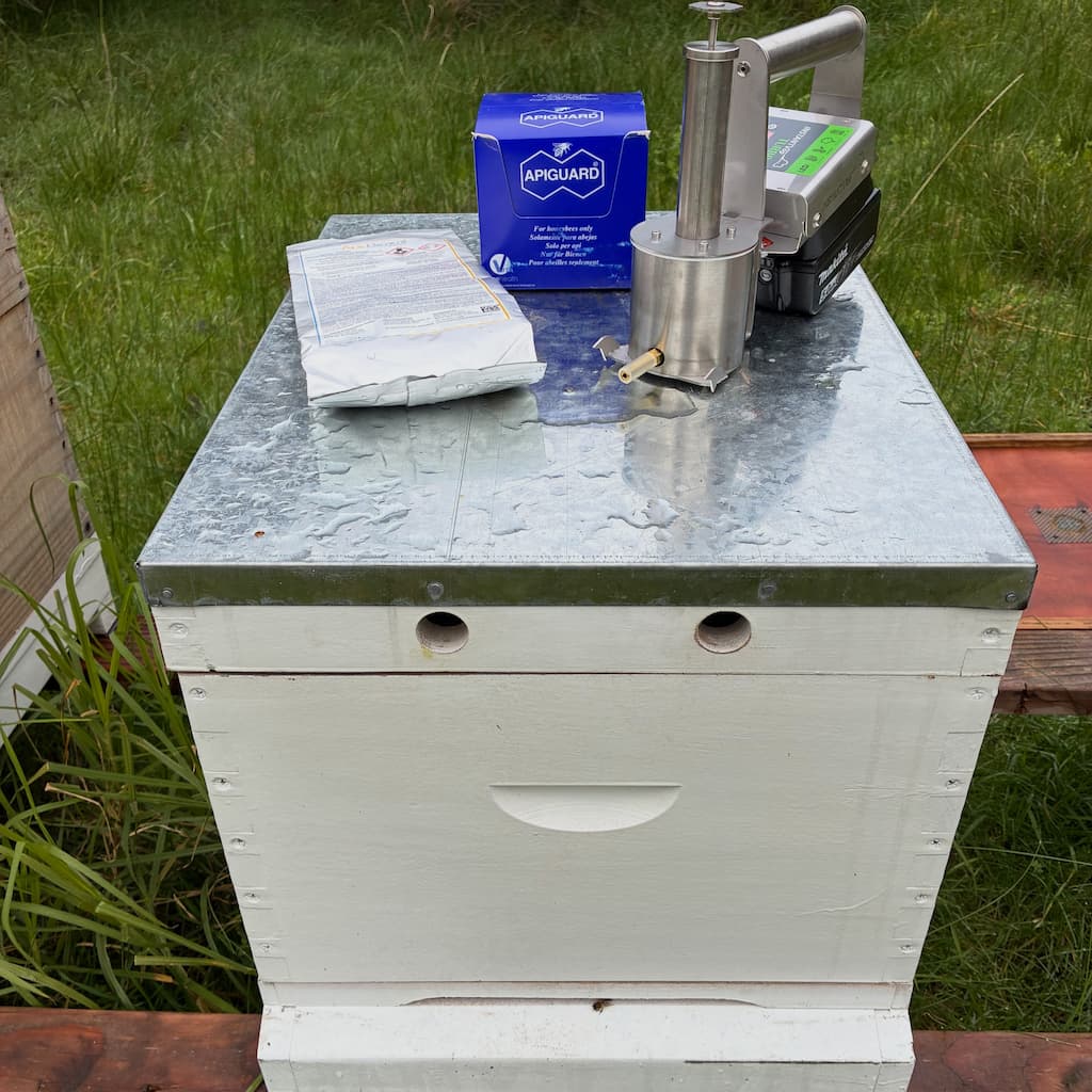 Adopting hives from those who no longer want them
